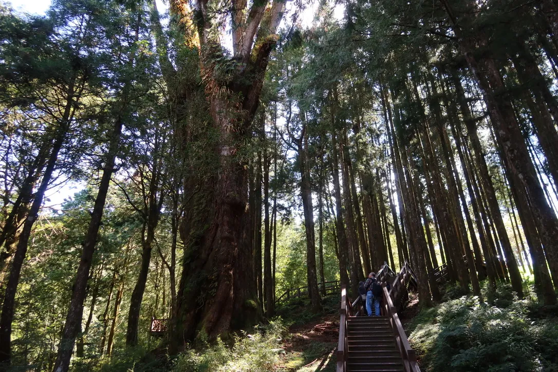 4BABC6B5-3B3B-4476-BB2C-4DCEC698982F_1_105_c