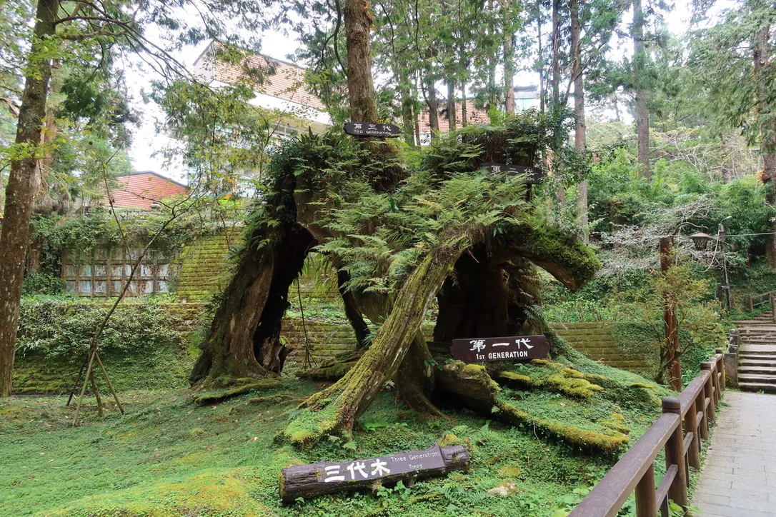 543FD6DC-EEC6-4222-AF46-D823B64A6C86_1_105_c