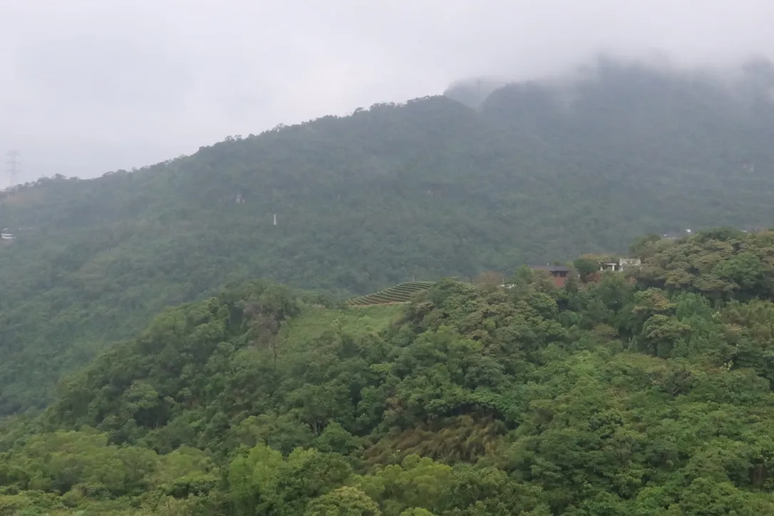 5A0D16E0-6166-465E-BFAD-23622B436654_1_105_c