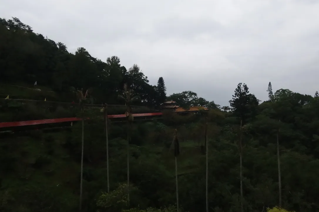 768FC620-1925-4A11-B503-D05439E057E0_1_105_c