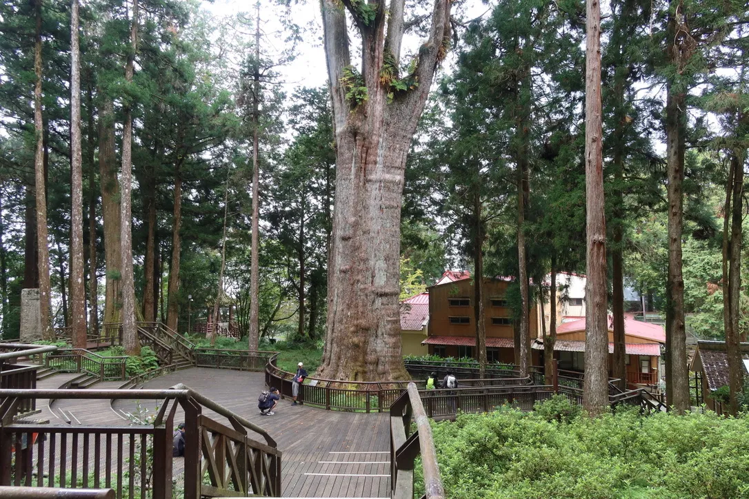 7B894EBC-E613-48B7-92B2-100A98C533BF_1_105_c