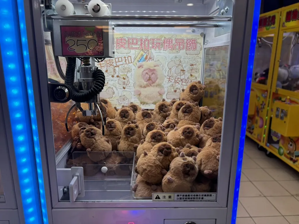 98E3232E-9DB7-40E4-80B2-4944BAE8B884_1_105_c