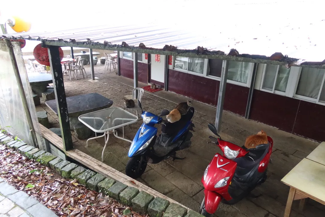 A0D87554-9B12-406D-A6A6-EA0684CC42CB_1_105_c