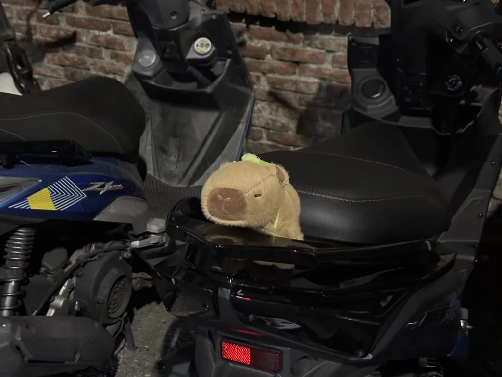 A42E3986-8CA3-4222-ACBC-CC268C2A3539_1_105_c