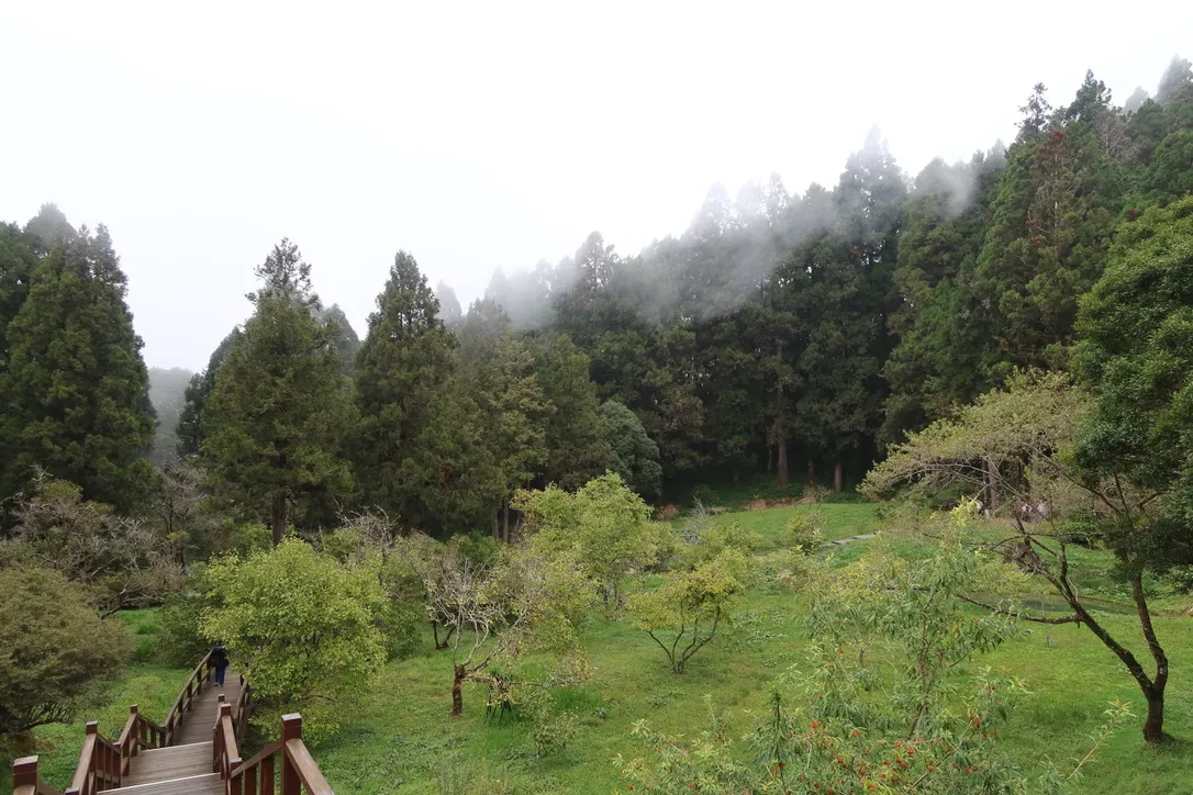 B87E6E55-C9C3-4A8A-BDB3-39619D3B4571_1_105_c