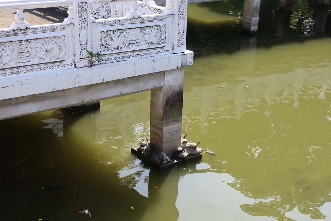 B8A54993-3FF8-4568-A6AD-2549F8234390_1_105_c