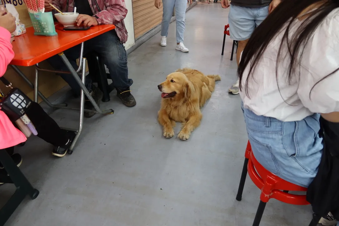 BB41E66D-B837-4ECB-BA0D-CD83E0122ED3_1_105_c