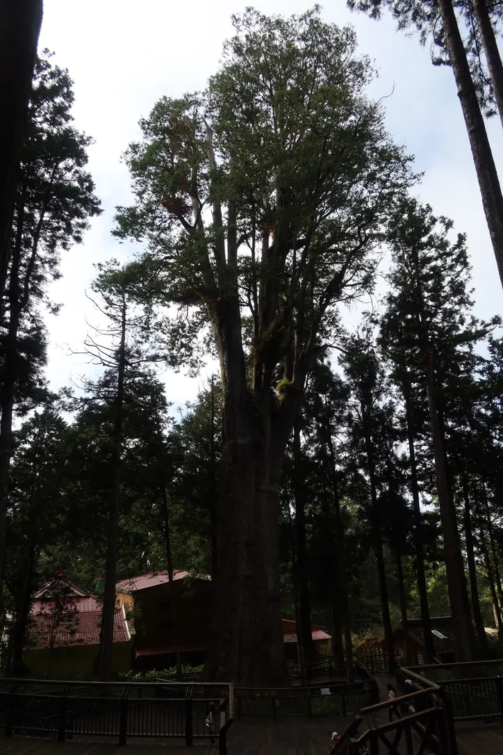 BF8F7574-5704-44CD-986F-67A4B471297C_1_105_c