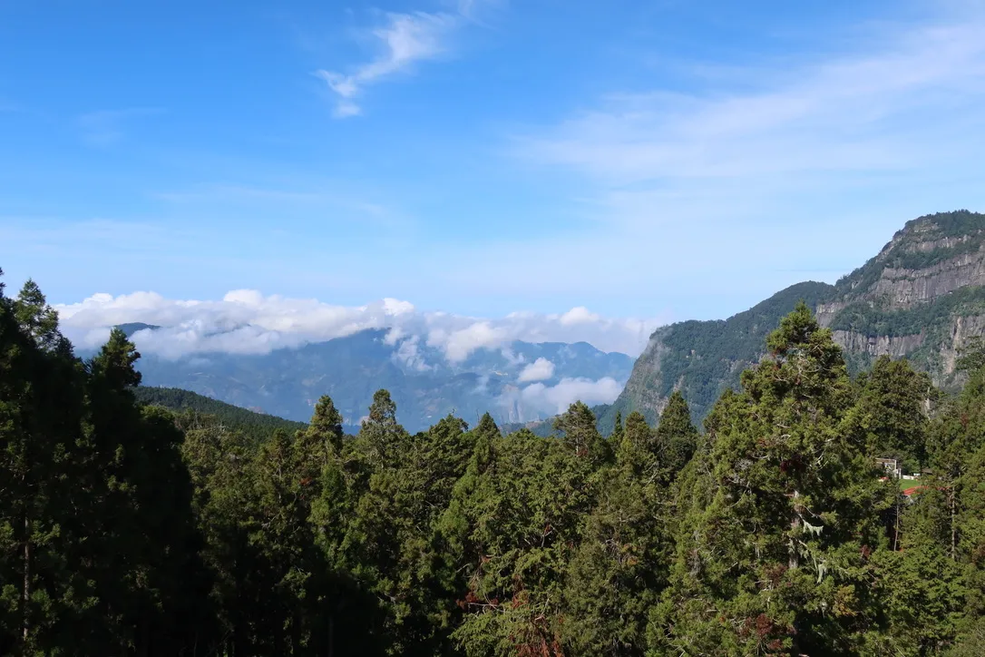 E7C8E875-C934-4B16-A2C0-FBB475A29DFC_1_105_c