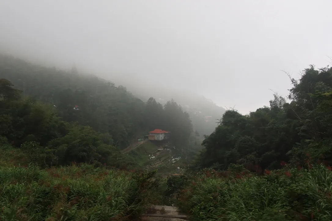 ED39E2D9-C97B-4682-9E63-EA14D6562A30_1_105_c