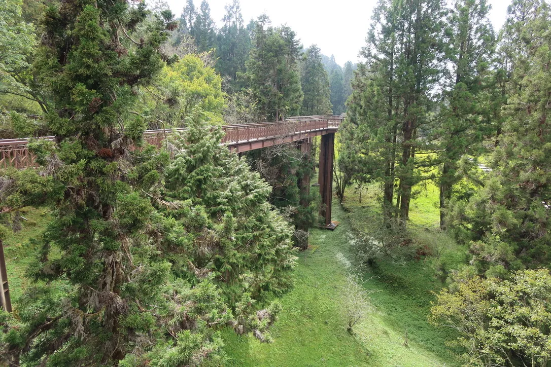 FBC4487A-0E5A-43A6-BA66-F14AA8E2EF2C_1_105_c