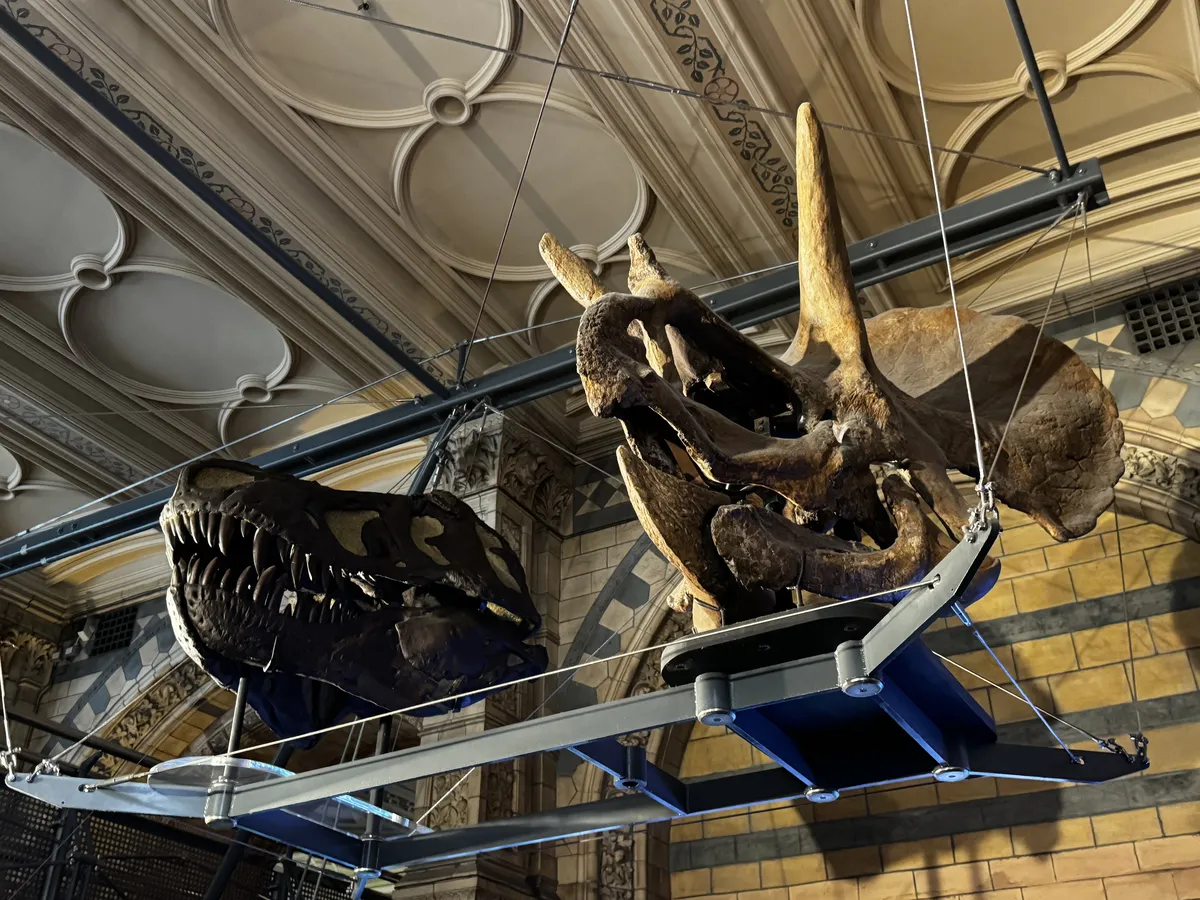 Dinosaurs (2025)
