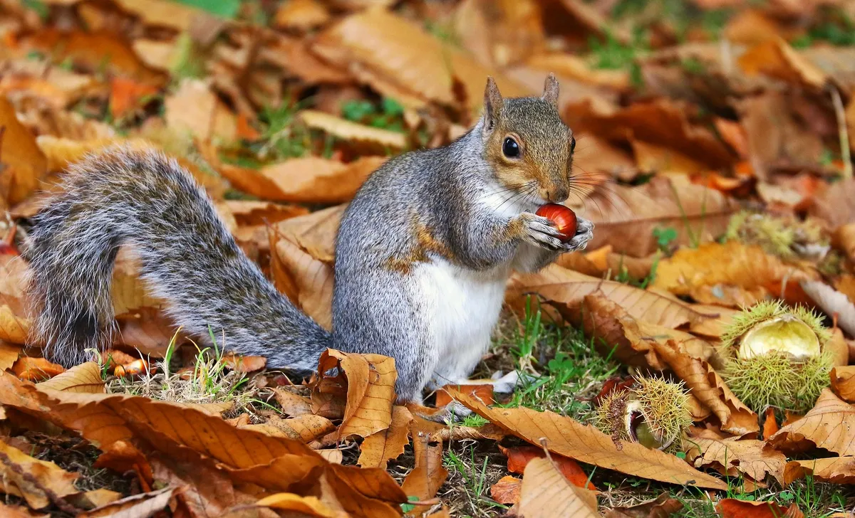 istockphoto-1356531951-612x612