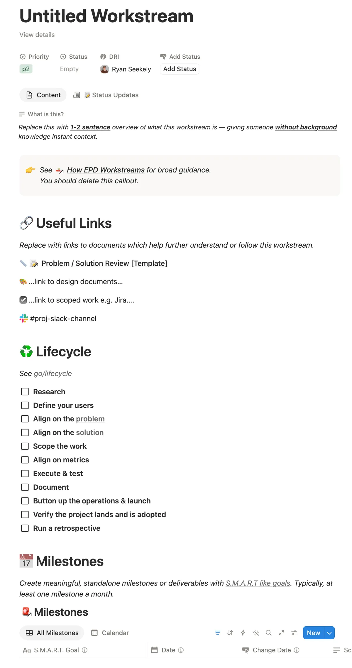 project-overview-template