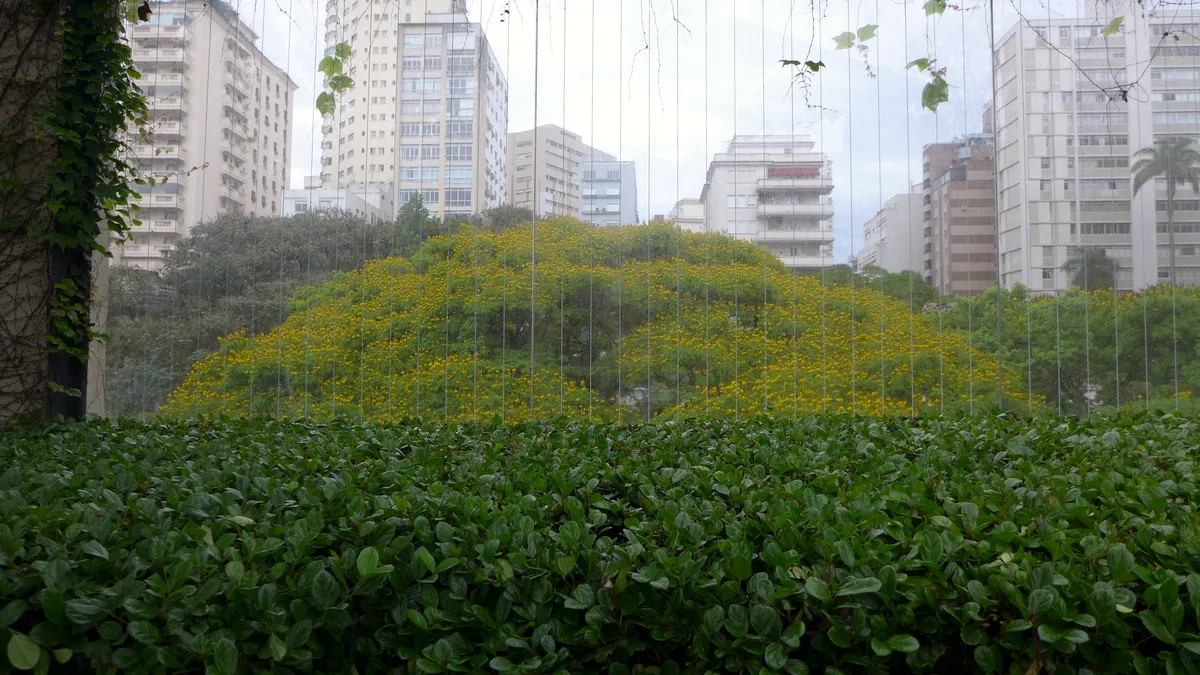 P1030225