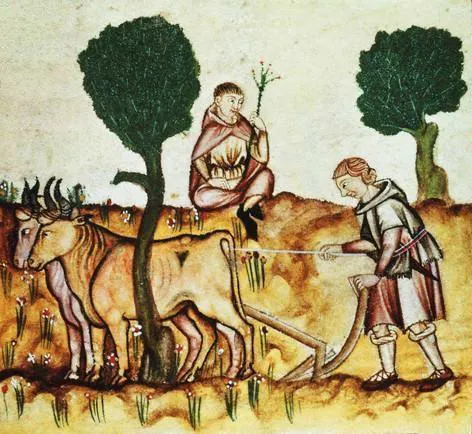Medieval_ploughing