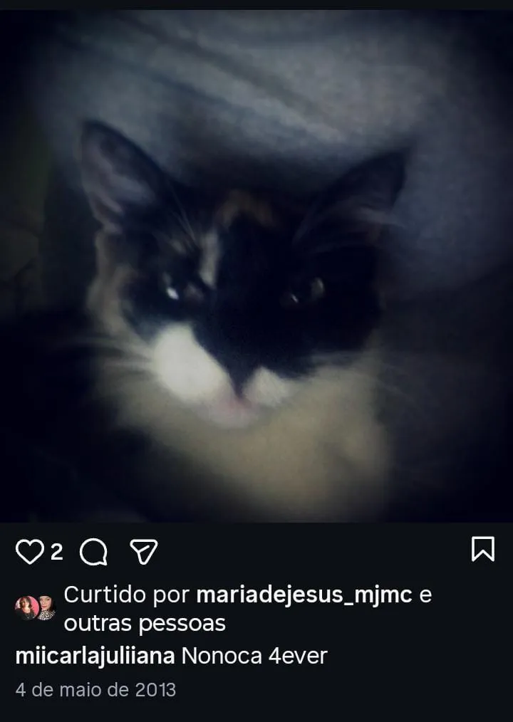 IMG-20260825-WA0057