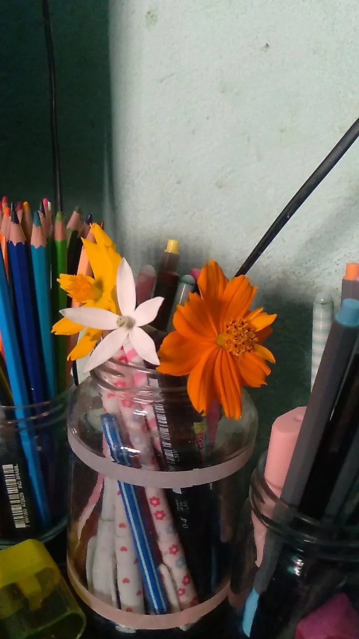 Imagem 5