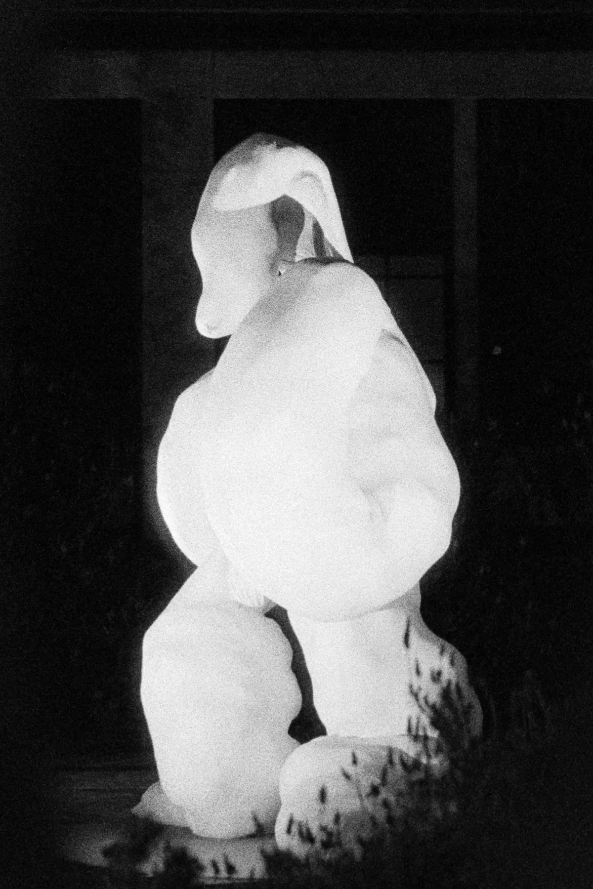 2026_Frieze_Polly_Borland2