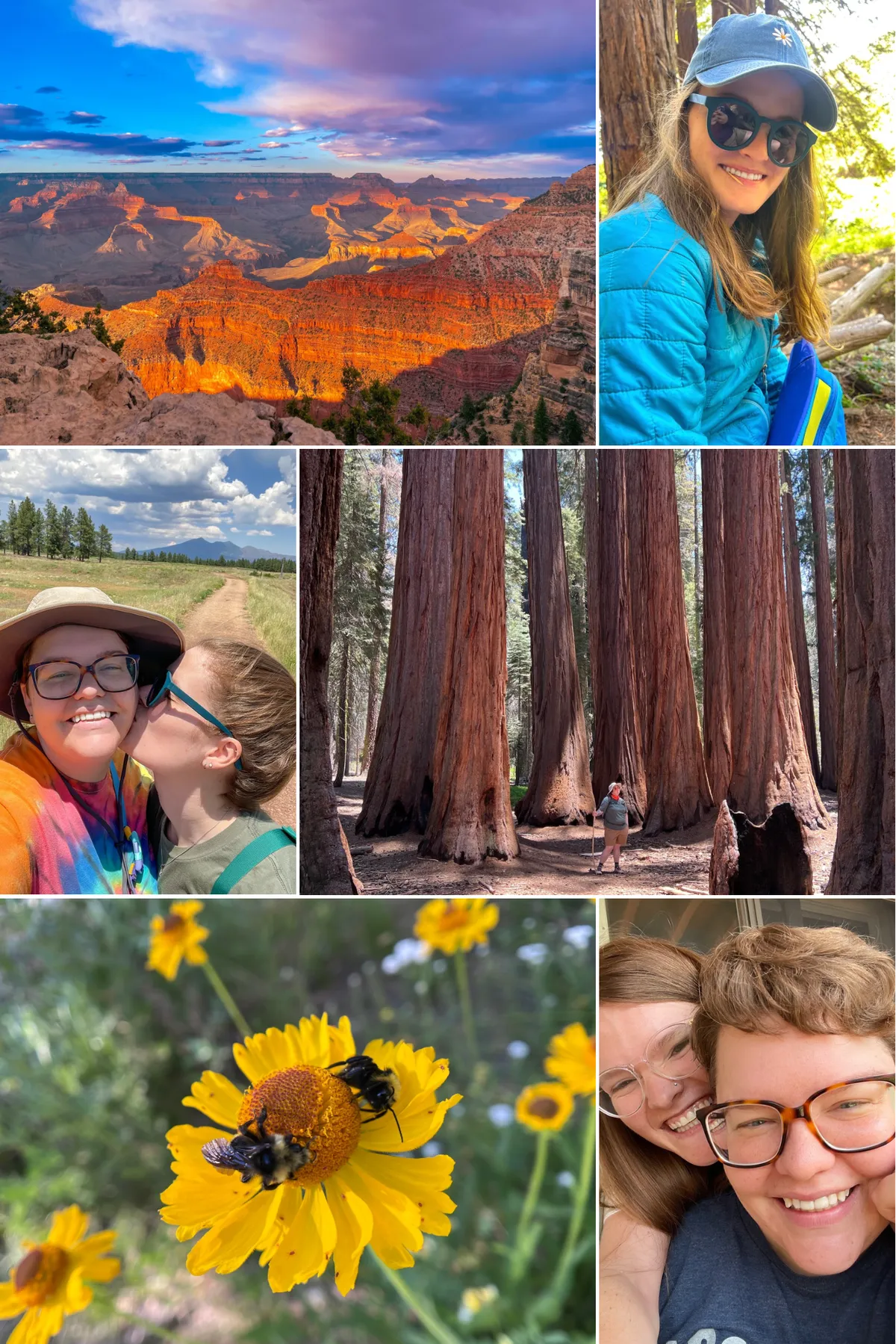 Beautiful Natural Scenery Aesthetics Mood Photo Collage