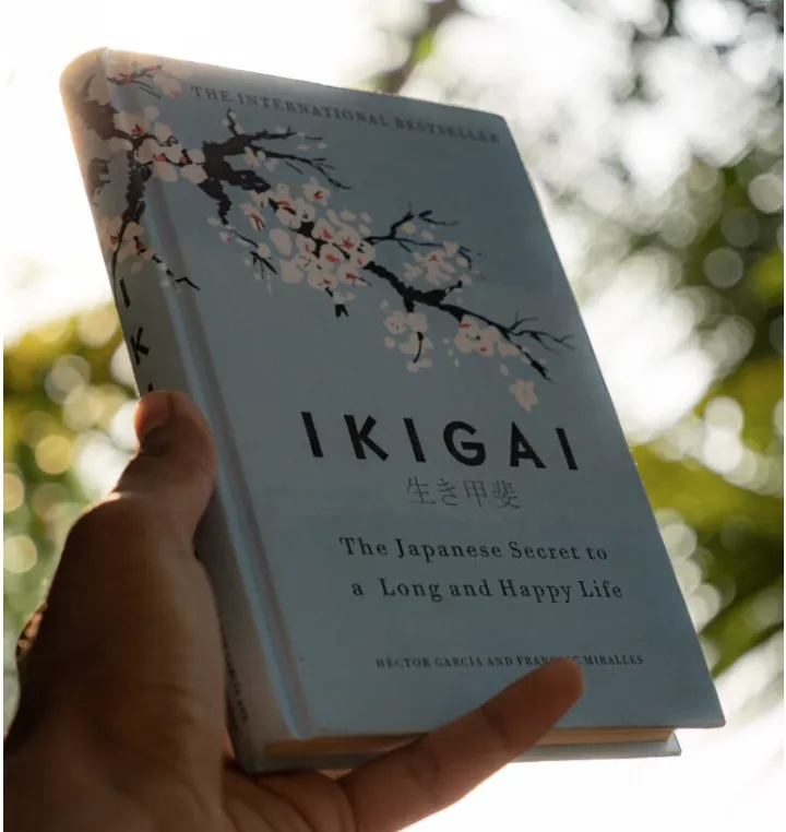 Screen Shot 2025-12-11 at 18