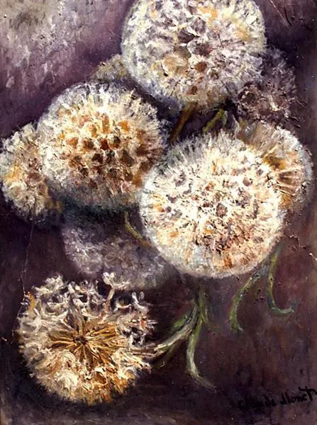 dandelions
