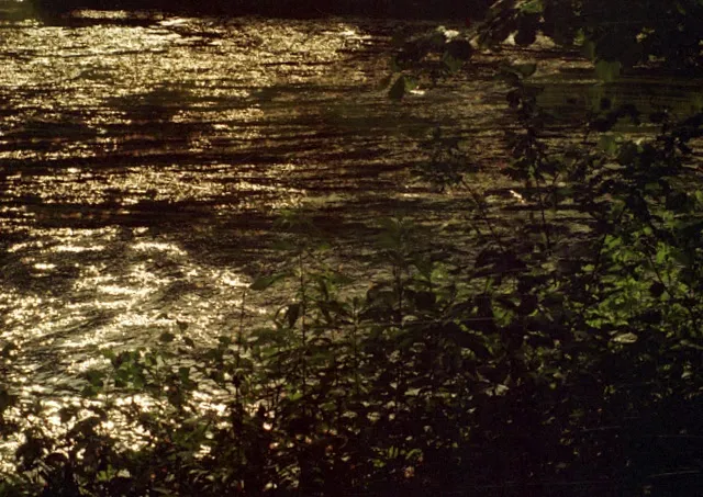 2006_sajzy_rozpuda-2