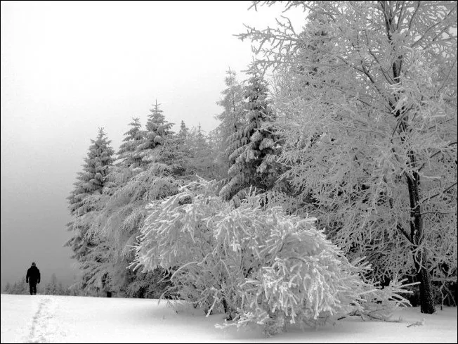 248186011_5efad7c008_o (1)