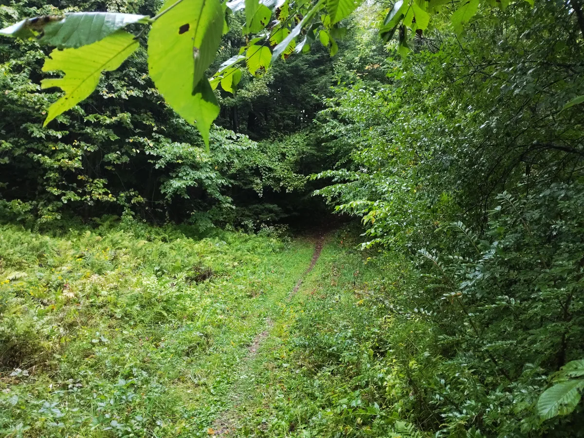 260913-sunday-run