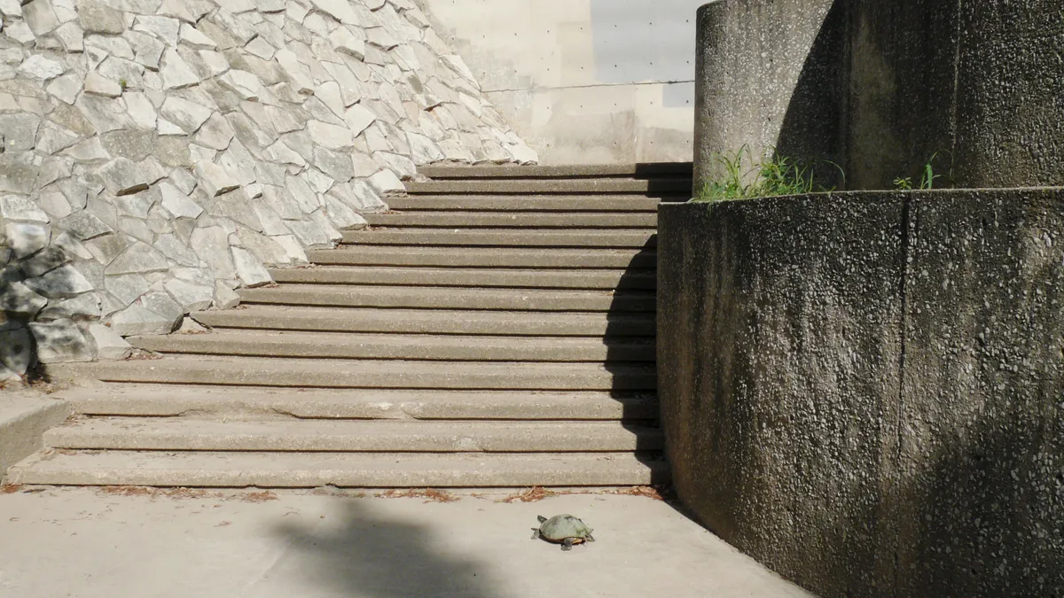 turtle-and-stairs