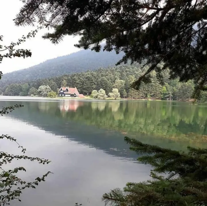 boluyau