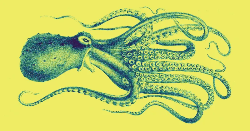 Octopus Worthy of Fascination