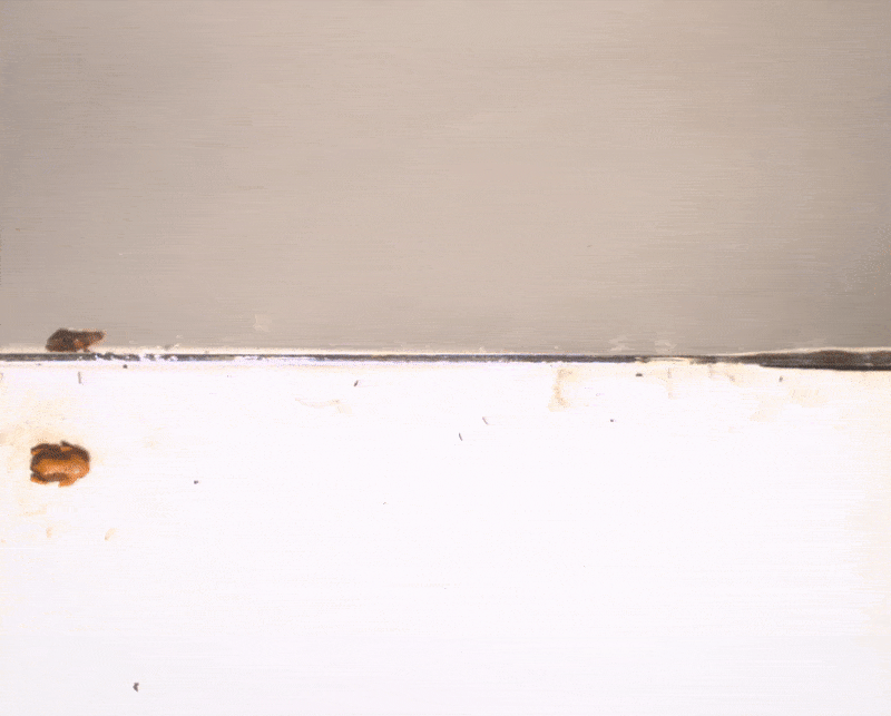 gif of a pumpkin toadlet jumping