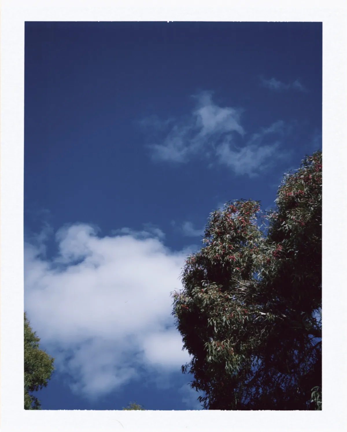 paf 2026-03-07 170658C5AD5B102887