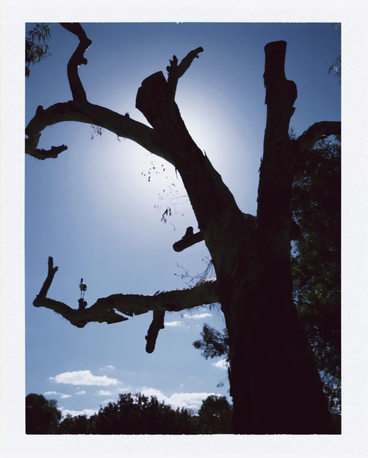 paf 2026-04-17 143028944CE75A1823