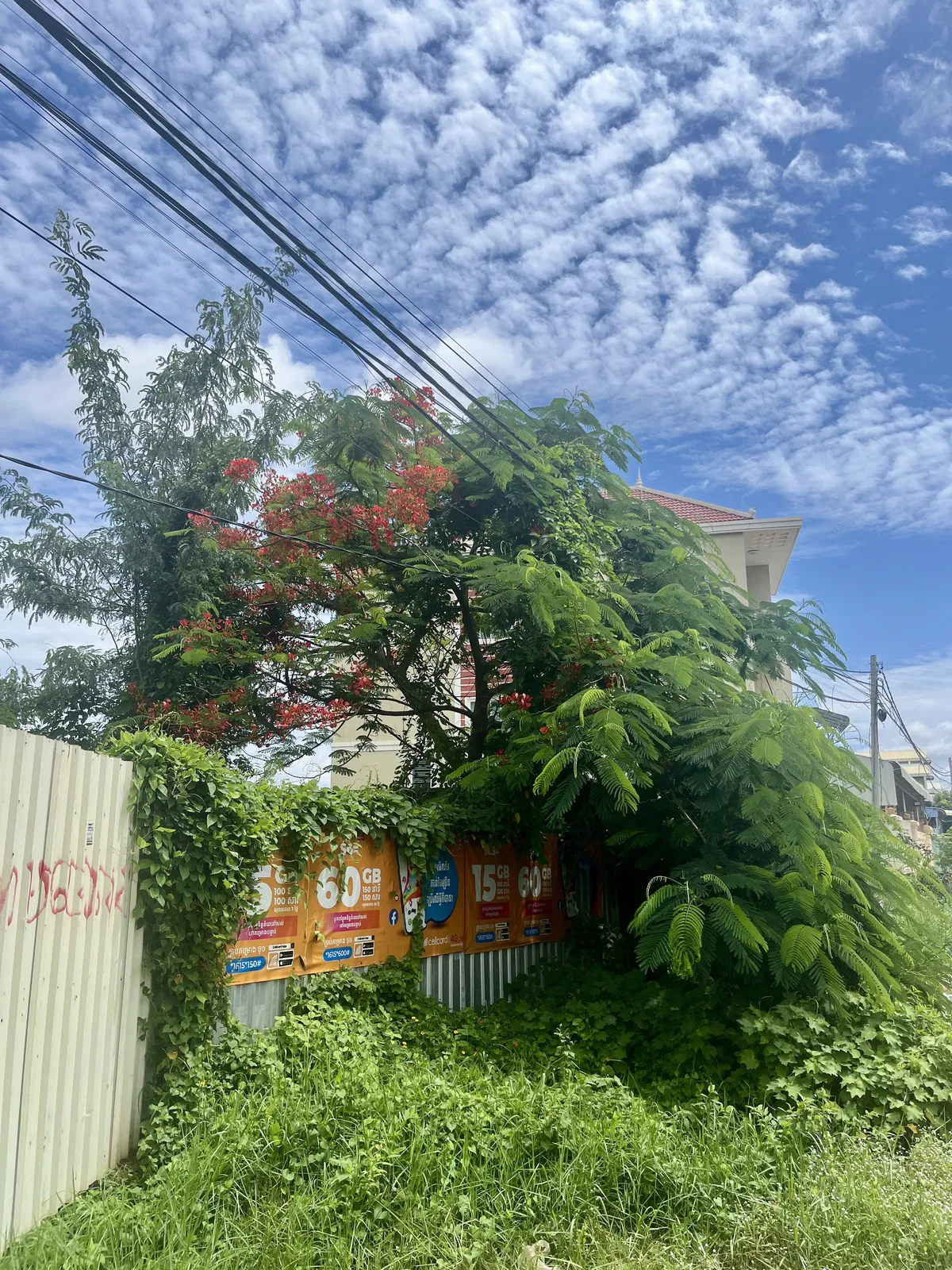 Some day in Siem Reap