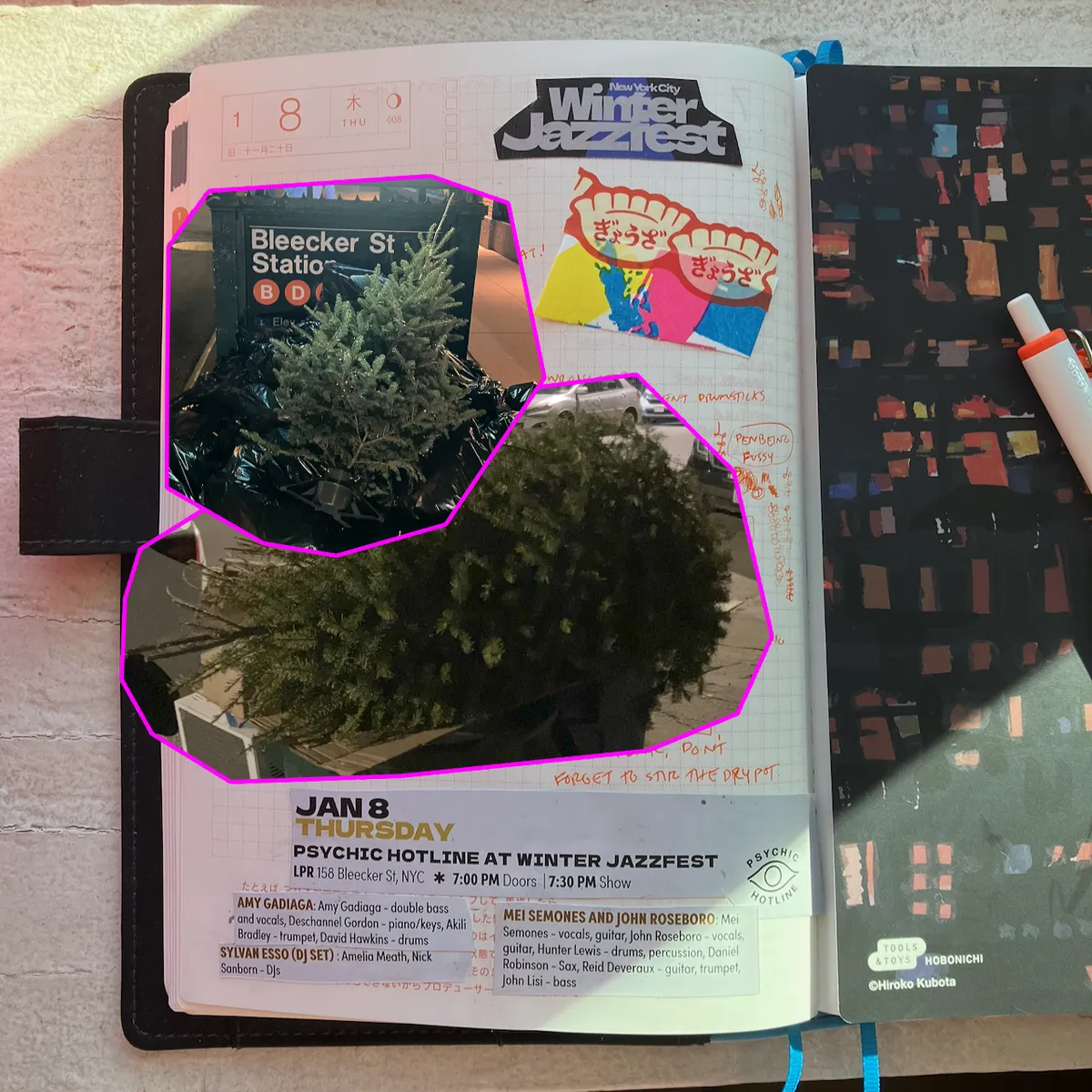 matthew's journal 20260108