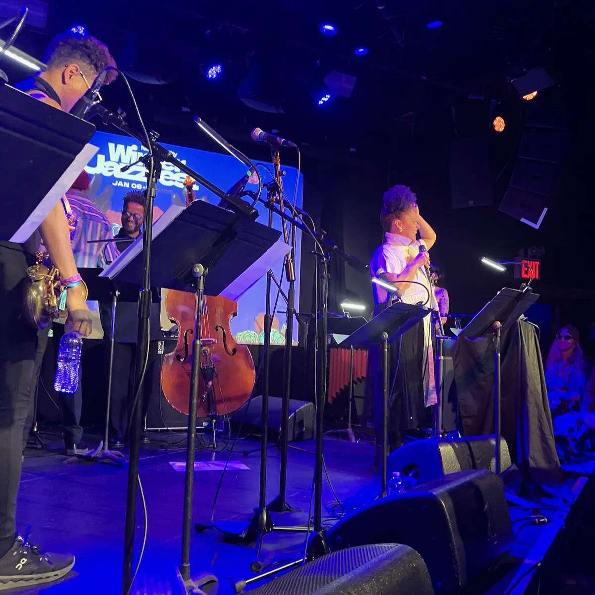 the view from the horn section