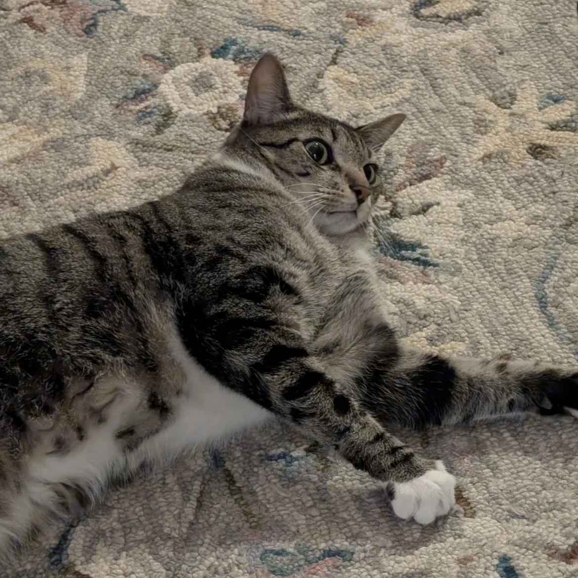 Randomized image
