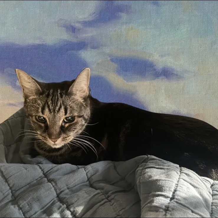 ms. omnipresent girl
(source: photo taken by me, Photoshop work done by my talented mother per my request)