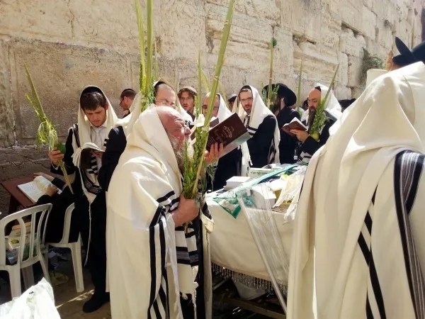 上图：正统犹太人于住棚节（Sukkot）在哭墙手拿棕树枝游行。