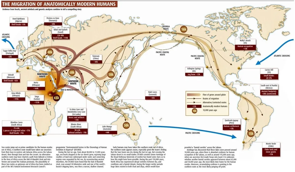 上图:科学家提出的人类走出非洲的迁徙路线。21世纪的遗传学家们通过研究线粒体DNA之后,认为全世界的人类基因都遗传自非洲的同一位原始母亲,并把这位母亲命名为「线粒体夏娃 Mitochondrial Eve」。