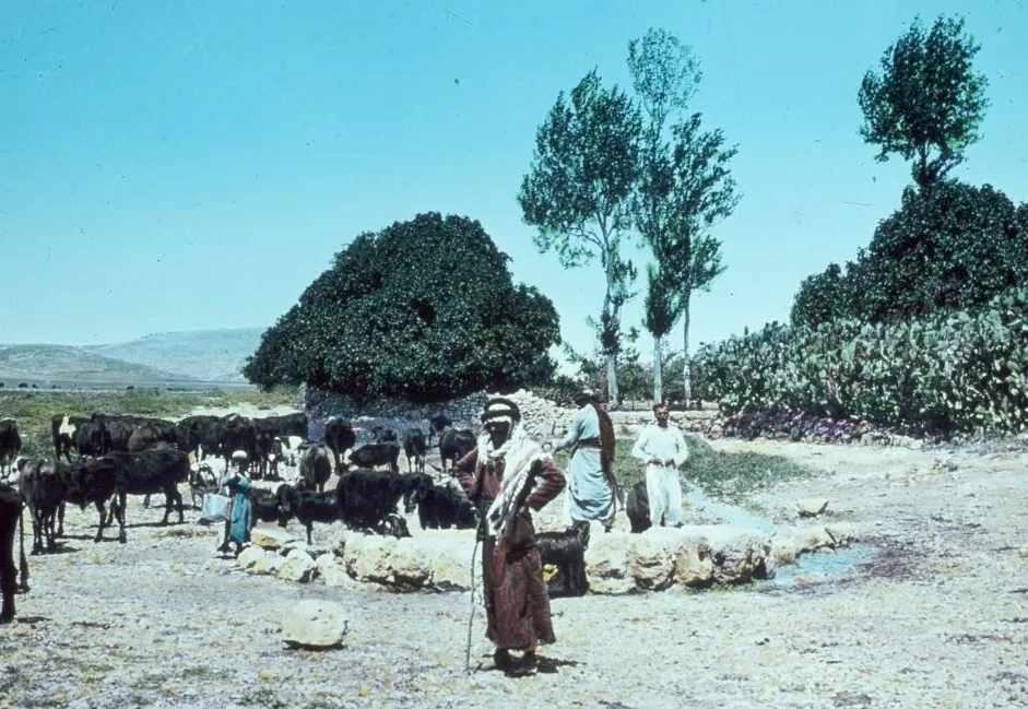 上图：从北面看约瑟坑（Joseph’s pit or Joseph’s well）。