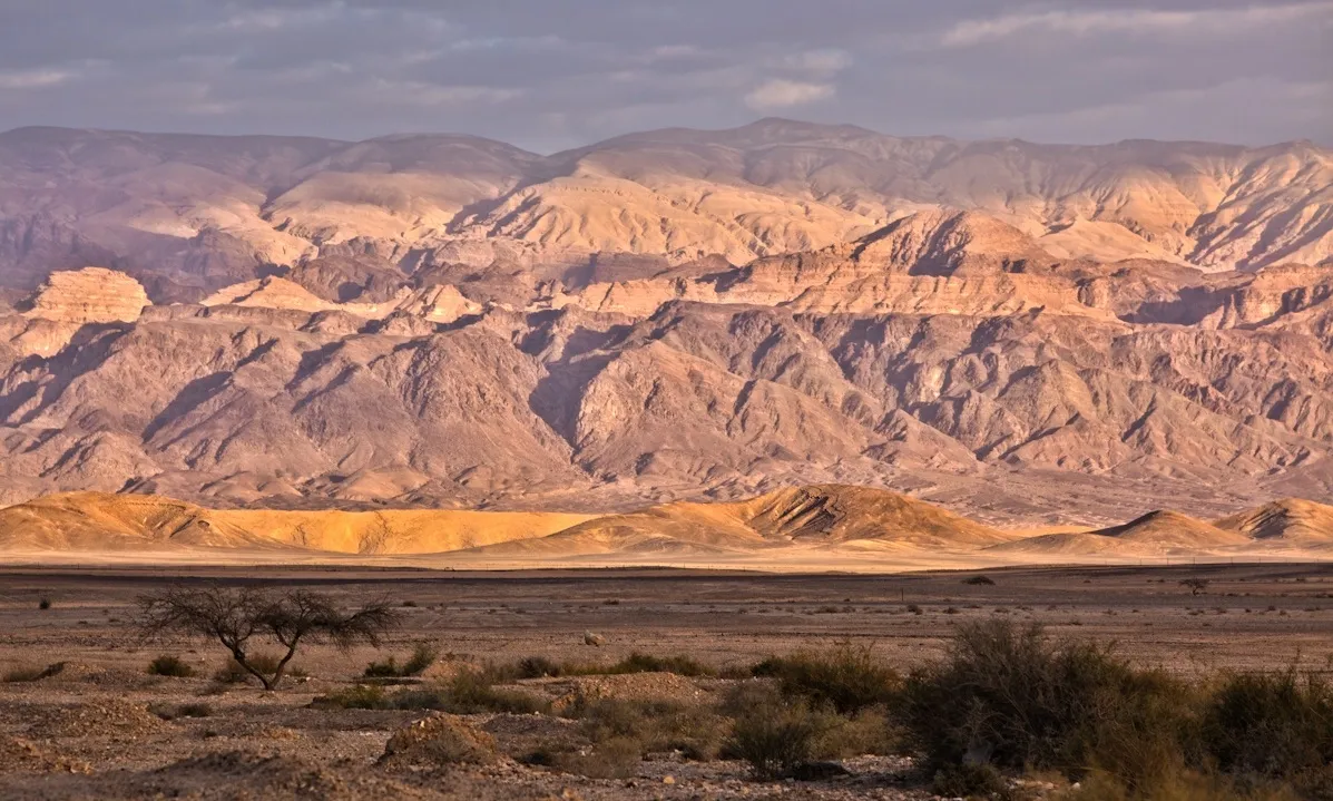 上图:约旦河东、耶利哥对面的摩押平原,位于约旦高原和约旦河之间,沿着南北延伸。这里是以色列人在渡过约旦河进入迦南之前最后安营的地方。