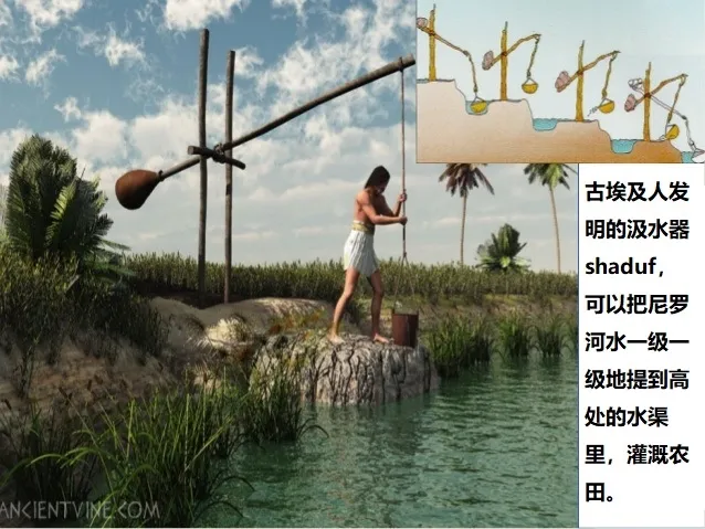 上图:古埃及人所发明的抽河水灌溉农田的汲水器沙杜夫(shaduf),利用杠杆原理,把水一级一级地引到高处的水渠里,然后把水分流到越来越小的渠道。田地得到足够的灌溉以后,农夫便用脚堆上泥土,把水道封闭。以后田地再需浇灌之时,只要把封闭沟渠的泥土踢开便可以了,所以叫“用脚浇灌”。