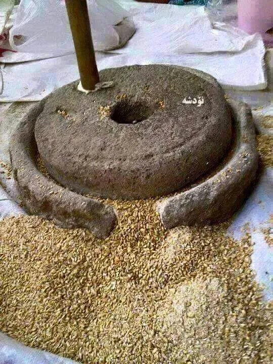 上图：古代以色列家用的磨石包括两块上下两块石头，通常用玄武岩制造。下磨石很重，麦粒放在上面平或微弯之处，用较轻的上磨石磨成面粉。一般人必须每天磨麦，如果拿磨石作为抵押品，他就不能做饭了。