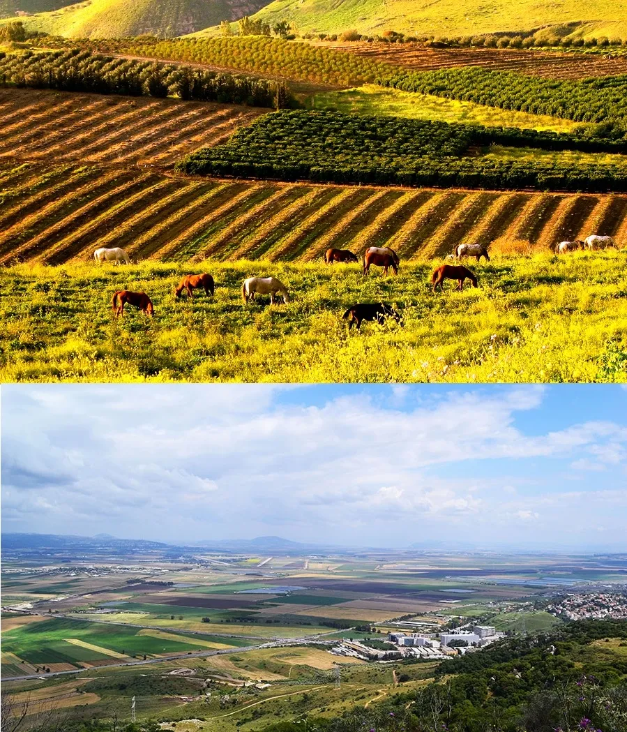 上图:巴珊地和耶斯列平原,分别是适合畜牧和耕种的地方,是名副其实的「流奶与蜜之地」(申二十六9)。