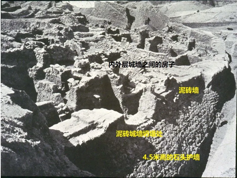 上图:1900年代,德国考古学家Ernest Sellin和Carl Watzinger挖掘耶利哥废墟时拍摄的城墙上的房屋。耶利哥有内外两层城墙,照片中右下方的外层石头护墙大约有4.5米高,护墙上方是泥砖墙,砖墙后面、内外城墙之间的斜坡上建有房屋。这些房屋可能是穷人住的,墙壁只有一块砖厚,喇合的家就在类似的房子里。