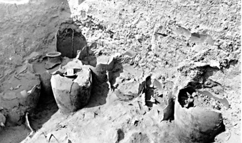 上图:1930年代,英国考古学家John Garstang在耶利哥废墟发现了许多装满碳化谷物的陶罐。古埃及军队的战术是在收割之前围城,这样城中的储粮最低;攻取城市后也会掠走所有粮食,不会留下这么多谷物。因此,这些谷物没被掠走,在迦南地的考古中非常罕见,但却与圣经的记载一致:1、当时是逾越节,谷物刚被收割,城中有大量储粮;2、以色列人突然过了约旦河,“耶利哥的城门因以色列人就关得严紧,无人出入”(书六1),没来得及带着粮食逃走;3、耶利哥被围7天就陷落,所以剩下了许多谷物;4、以色列人遵守神的命令,“用火将城和其中所有的焚烧了”(书六24),并没有留下粮食当战利品。然而,1995年对这些谷物进行放射性碳定年的结果,却是主前17世纪晚期或16世纪,比以色列人主前1407年进迦南的时间早了100年。