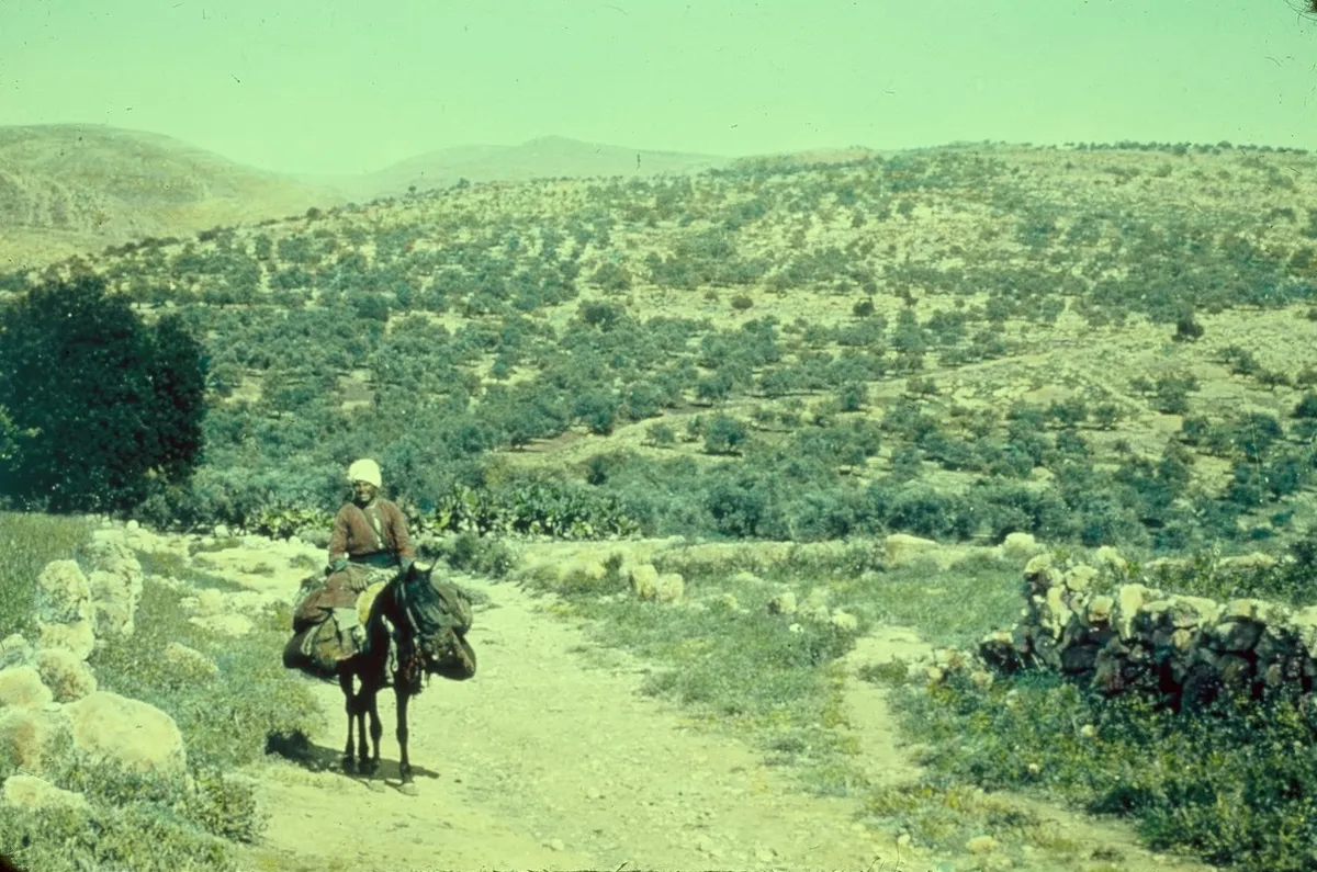 上图:伯·和仑的上坡路(Ascent of Beth-horon),是古代从沿海平原(如港口约帕)到中央山地(如耶路撒冷、伯特利)的必经之路。照片摄于1955-1977年,美国国会图书馆收藏。